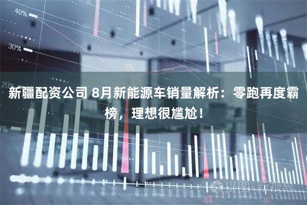 新疆配资公司 8月新能源车销量解析:零跑再度霸榜,理想很尴尬!