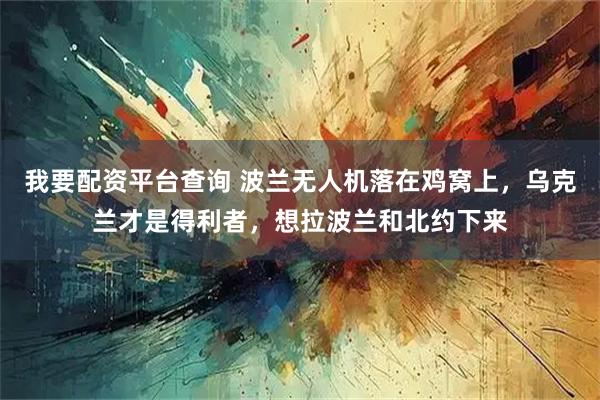 我要配资平台查询 波兰无人机落在鸡窝上，乌克兰才是得利者，想拉波兰和北约下来