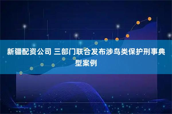 新疆配资公司 三部门联合发布涉鸟类保护刑事典型案例