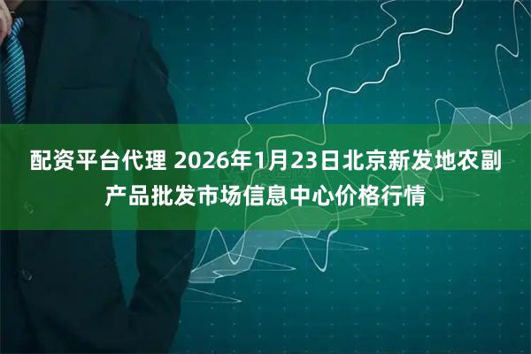 配资平台代理 2026年1月23日北京新发地农副产品批发市场信息中心价格行情