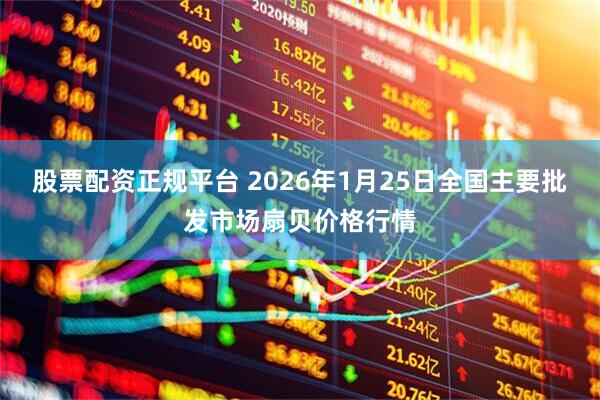 股票配资正规平台 2026年1月25日全国主要批发市场扇贝价格行情
