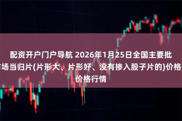 配资开户门户导航 2026年1月25日全国主要批发市场当归片(片形大、片形好、没有掺入股子片的)价格行情
