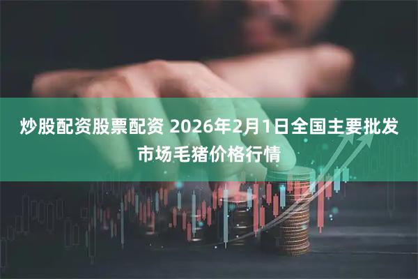 炒股配资股票配资 2026年2月1日全国主要批发市场毛猪价格行情