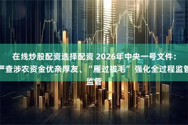 在线炒股配资选择配资 2026年中央一号文件：严查涉农资金优亲厚友、“雁过拔毛” 强化全过程监管