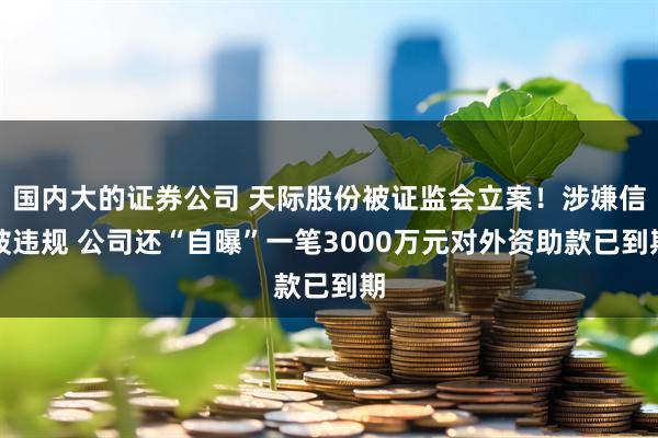 国内大的证券公司 天际股份被证监会立案！涉嫌信披违规 公司还“自曝”一笔3000万元对外资助款已到期